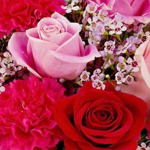 Meet your Posher, Lasha